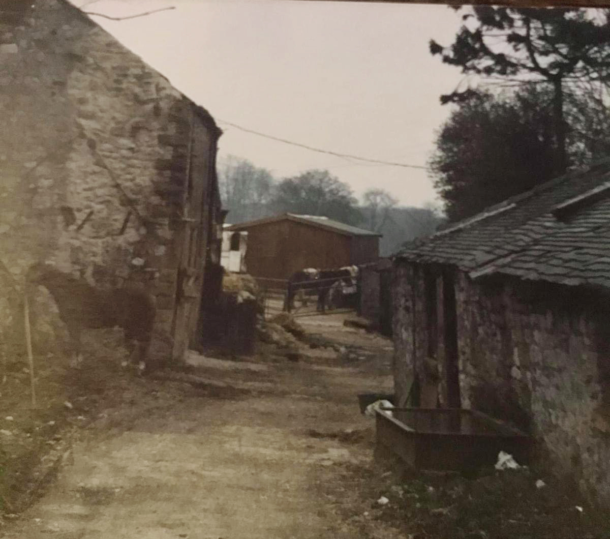 1988 Farm Buxton Riding School